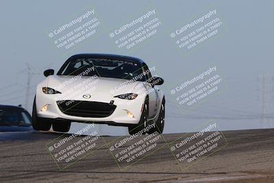 media/Nov-24-2023-Speed SF (Fri) [[8629a6e656]]/Gold/Session 2 (Grapevine)/